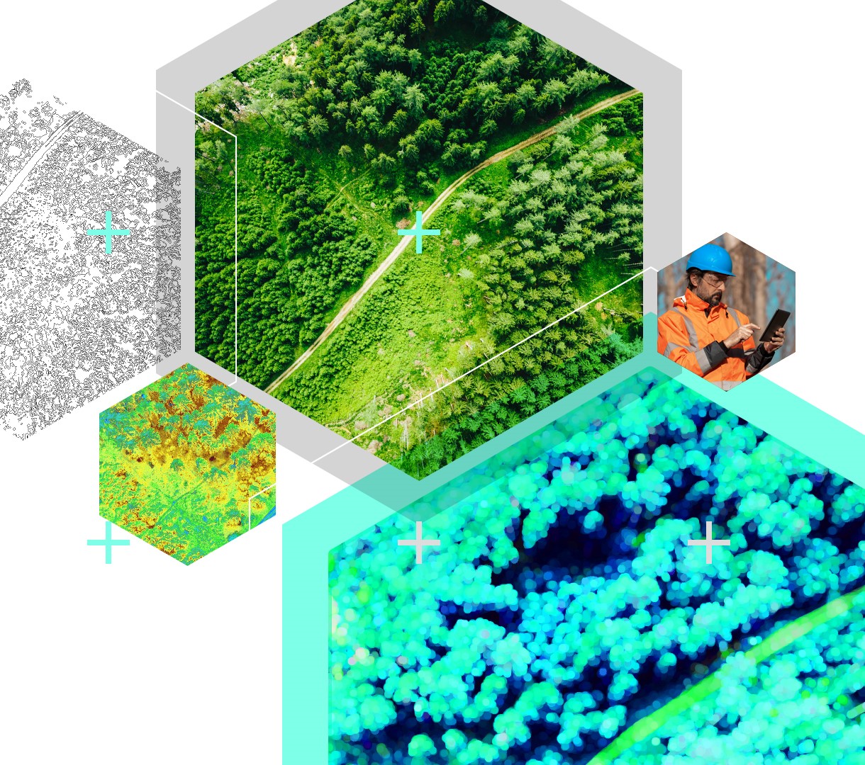 Hintergrundgrafik mit hexagonalen Ausschnitten aus Luftbildern von Forstbeständen