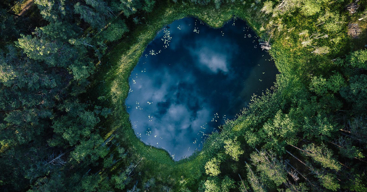 Eine Luftaufnahme von einem Wald mit einem See in der Mitte.