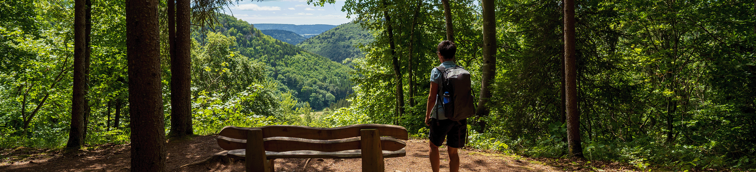 Person steht im Wald an einer Bank mit Aussicht