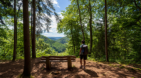 Person steht neben einer Wald im Bank mit Aussicht in Baden-Württemberg