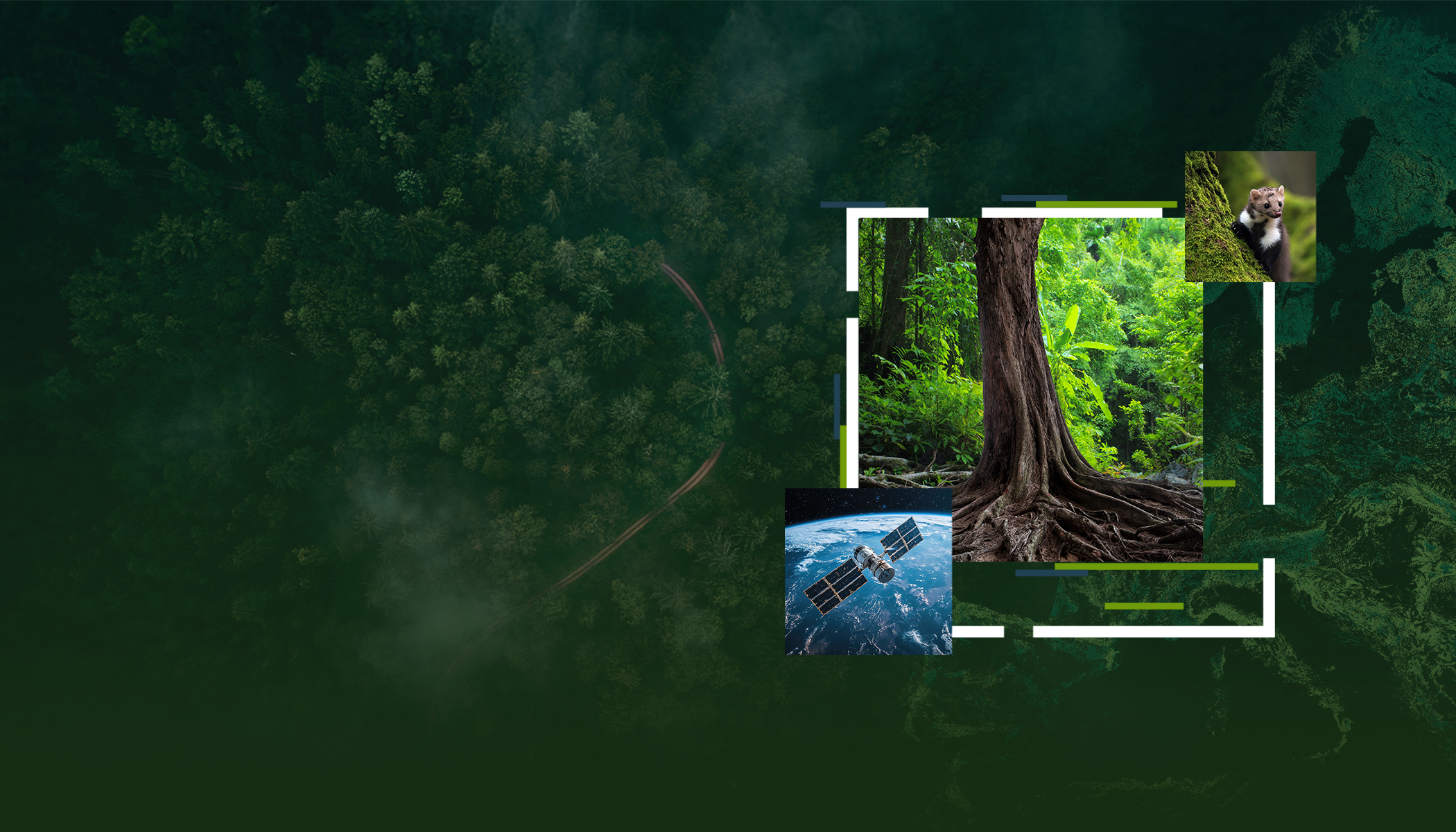 Drohnenaufnahmen und Kartenmaterial rund um den Wald