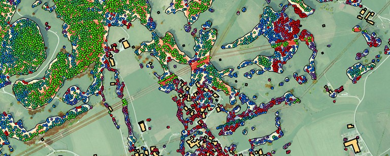 Detektion von Bäumen mittels Deep Learning