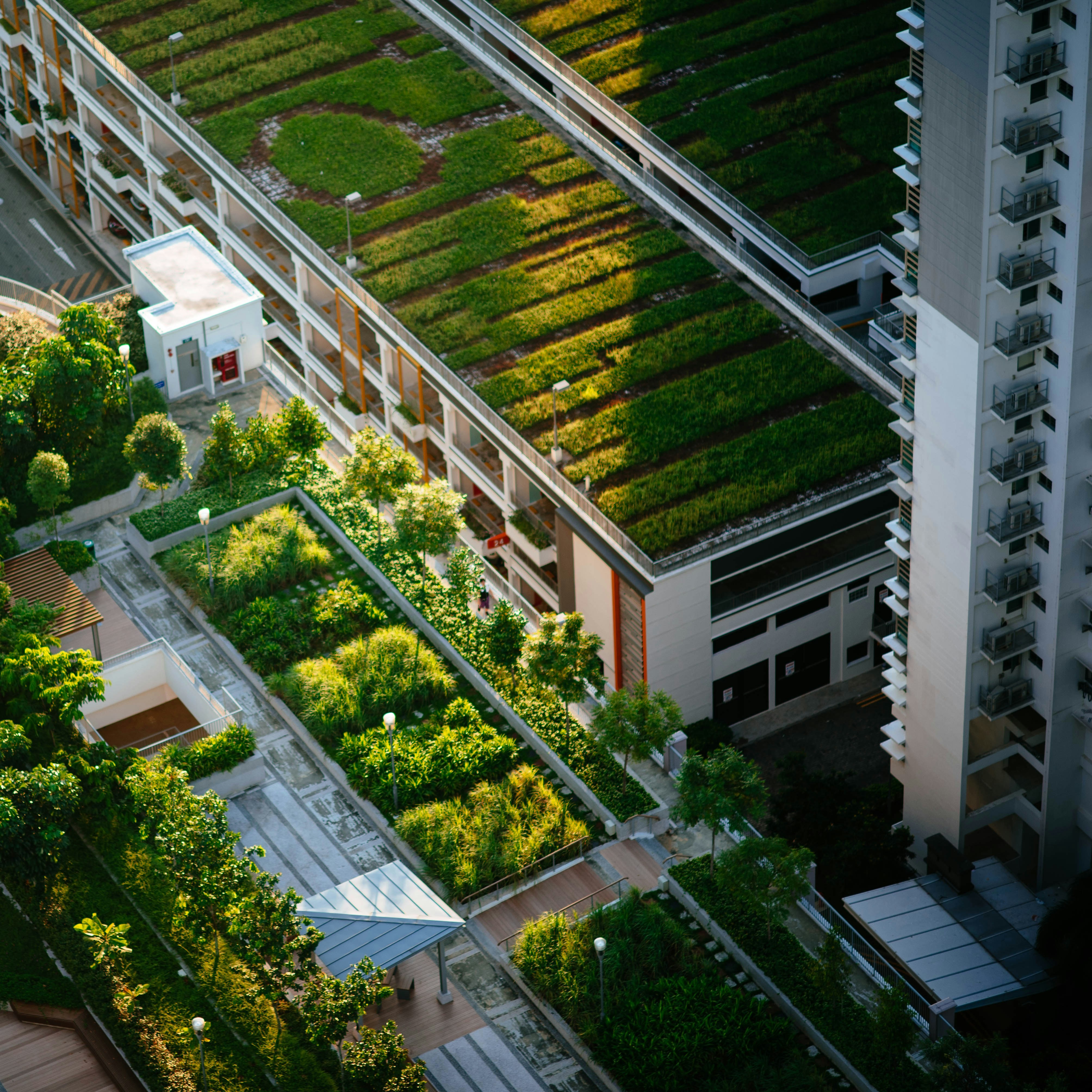 Umwelt, Klima & Grünflächenmanagement