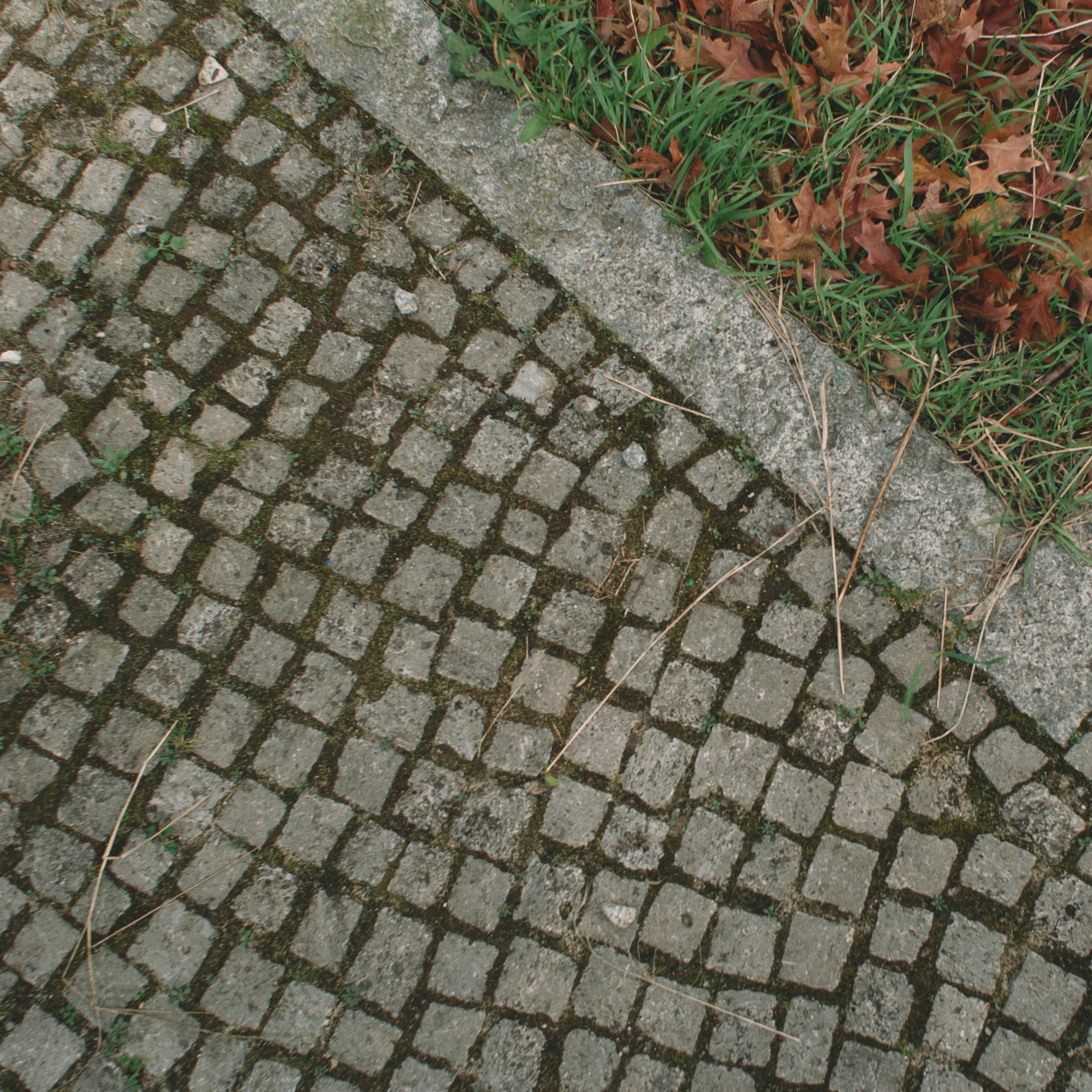 Mobilität & öffentliche Räume