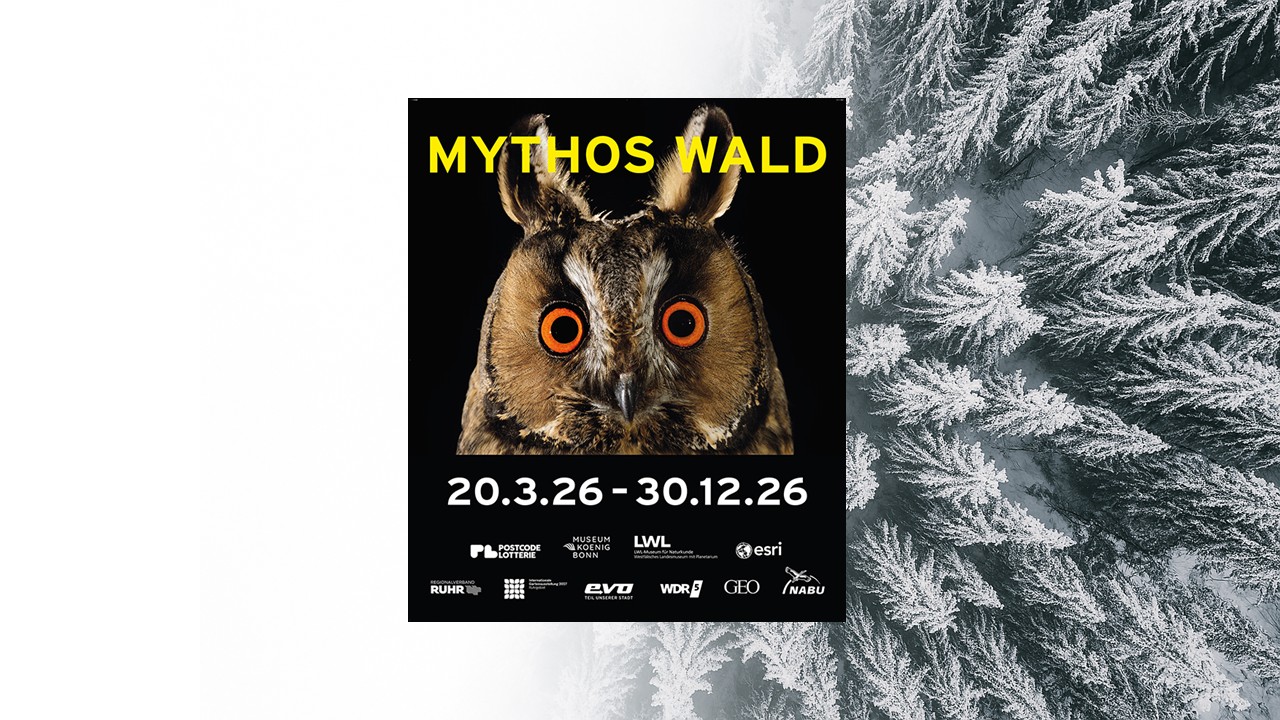 A section of small islands overlaid with a circular 2D map of the islands