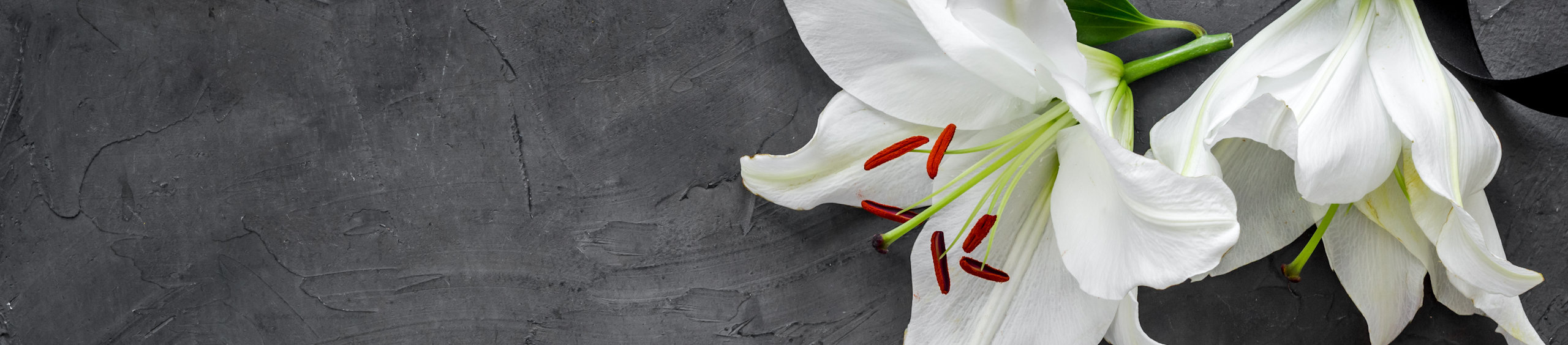 Hintergrund mit Lilien auf dunklem Stein