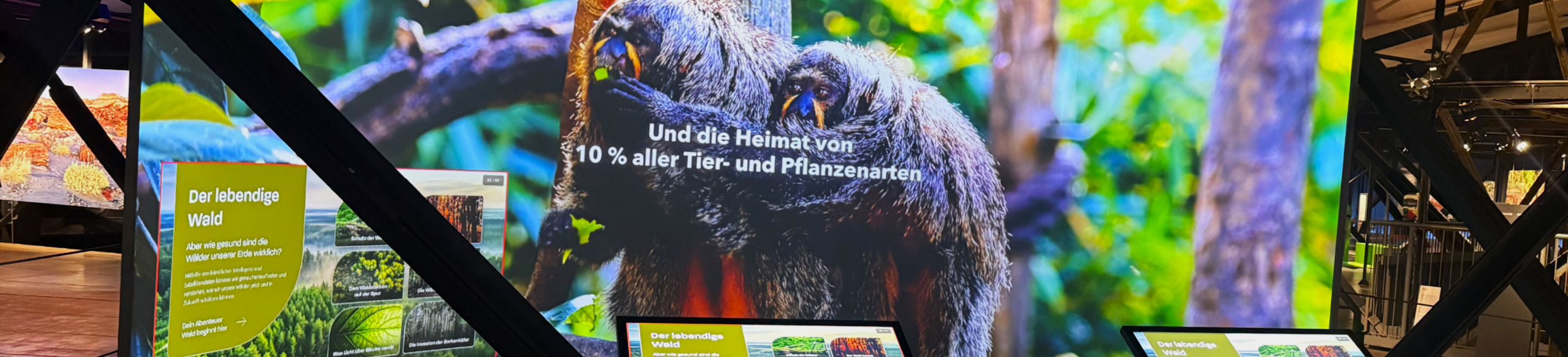 Hintergrund mit Lilien auf dunklem Stein