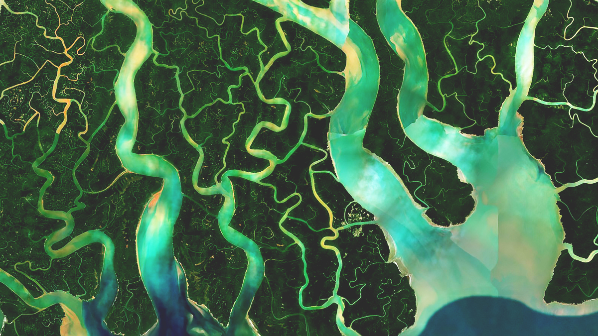 A satellite image shows a network of light green rivers winding through dark green wetlands