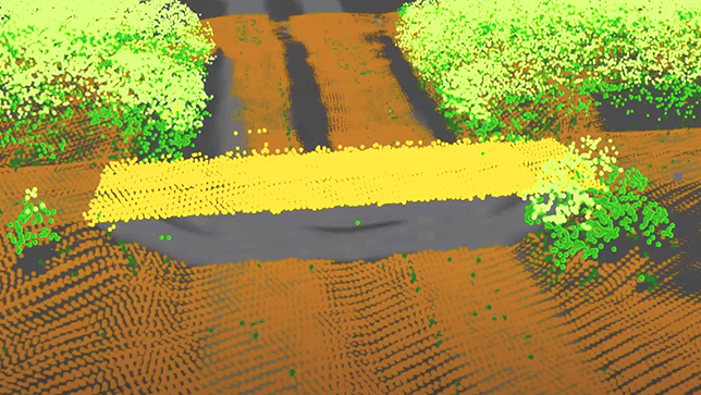 Eine Punktwolke mit orangen, grünen und gelben Punkten stellt Büsche entlang eines Weges in 3D dar. 