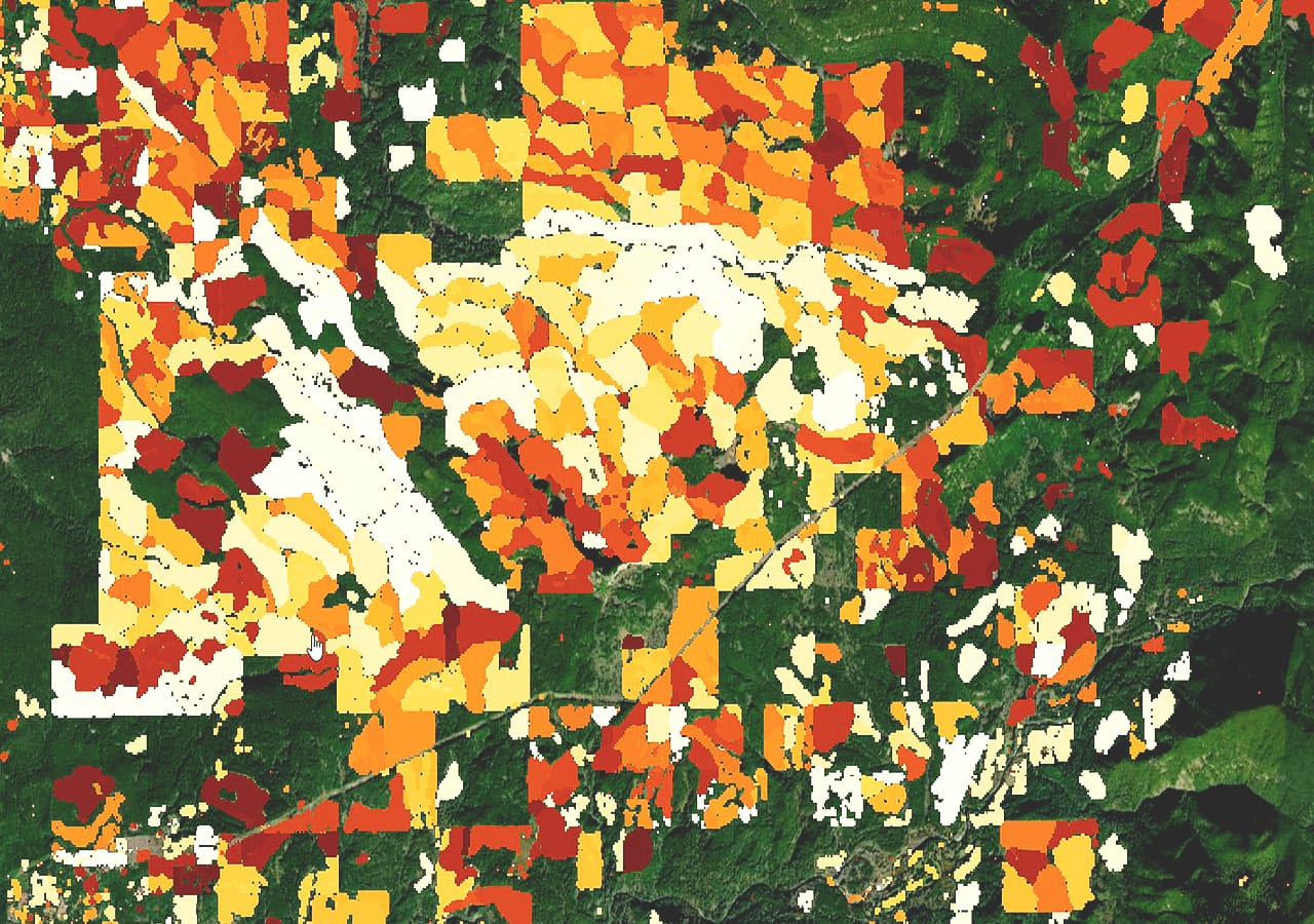 Eine Satellitenkarte der Region West Cascades in Oregon zeigt anhand eines Weiß-Rot-Gefälles die Gebiete, in denen im Laufe der Zeit Holzeinschlag betrieben wurde.