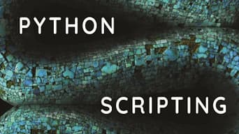 Grafik in Blau und Schwarz als Hintergrund des Textes "Python Scripting" 
